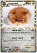 grumpy cat Ex
