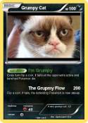 Grumpy Cat