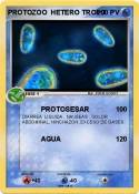 PROTOZOO HETERO