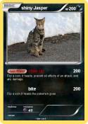 shiny Jasper