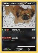 pekinoi qui mor