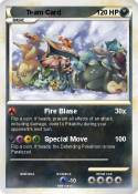Team Card