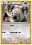 Koala