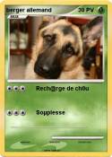 berger allemand