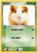 Hamster