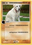 sisi ex 1000000