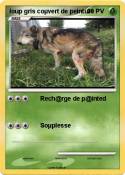 loup gris coµve