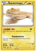 Bearded Dragon