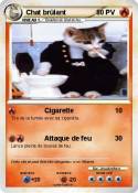 Chat brûlant