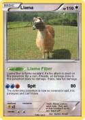 Llama