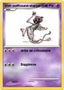 irish wolfhound
