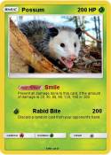 Possum
