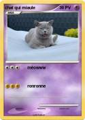 chat qui miaule
