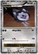 DOG