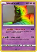 chemical cat