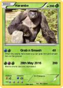 Harambe