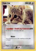 Cute Cat