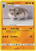 Chinchi