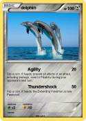 dolphin