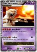 Chat Terroriste