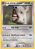Hi im an animal