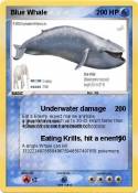Blue Whale