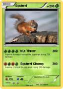 Squirrel