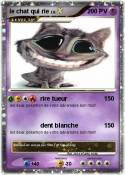 le chat qui