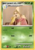 gant banand cat