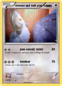 oiseau qui sait