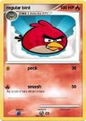 regular bird
