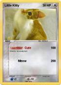 Little Kitty