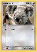Koala niv:9