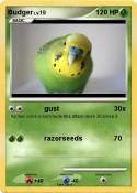 Budger
