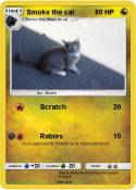 Smoke the cat