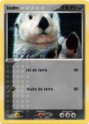 loutre