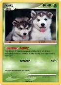husky