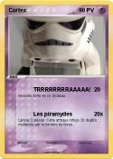 Cortex