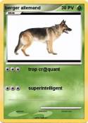 berger allemand