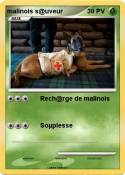 malinois s@uveu