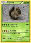 Squirrel