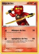 ninja de feu