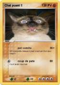 Chat puant !!