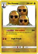 Trio Pinneur