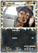 chien EX