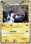 thor the dog
