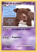 pit-bull I AN @