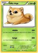 baby doge