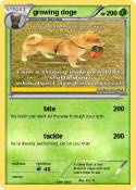 growing doge