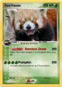 Red Panda